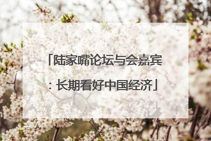 陆家嘴论坛与会嘉宾：长期看好中国经济